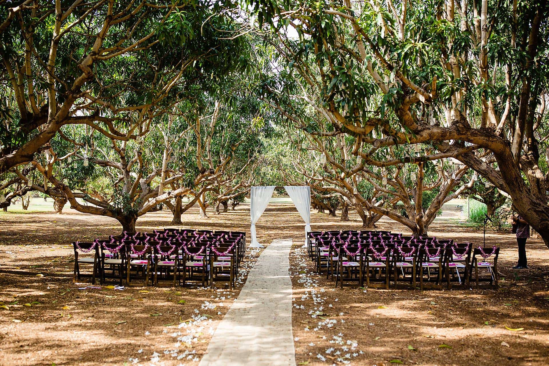 maui tropical plantation angela nelson