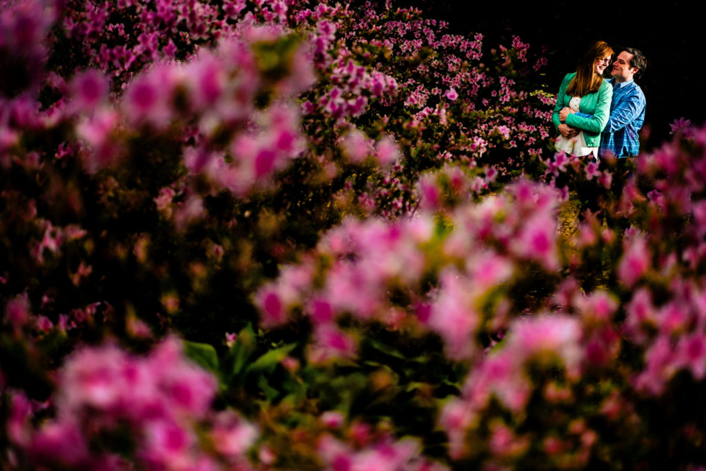 Sarah P. Duke Gardens