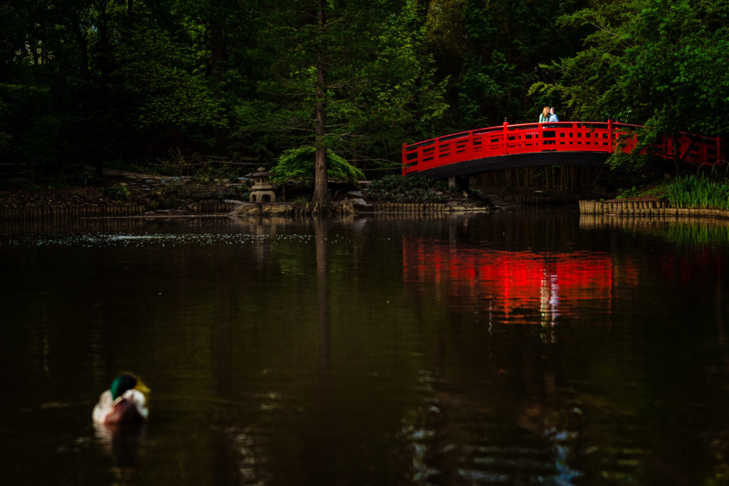 Sarah P. Duke Gardens