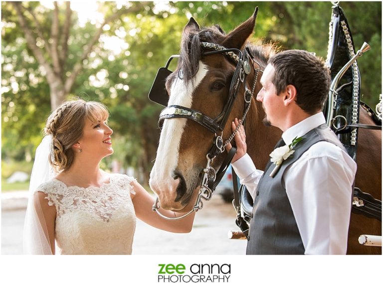buckingham farms zee anna photography