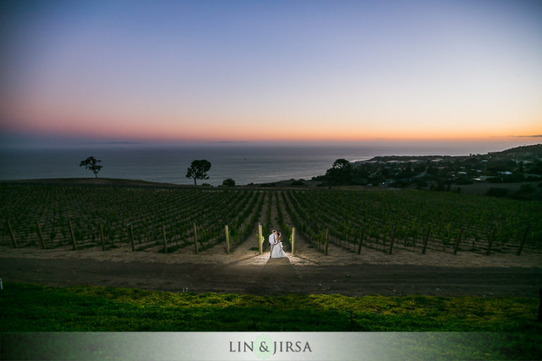catalina view gardens wedding lin and jirsa photography