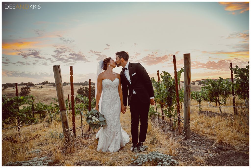 Ella’s Vineyard