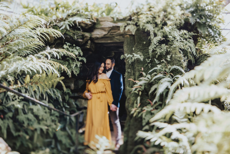 Morris Arboretum