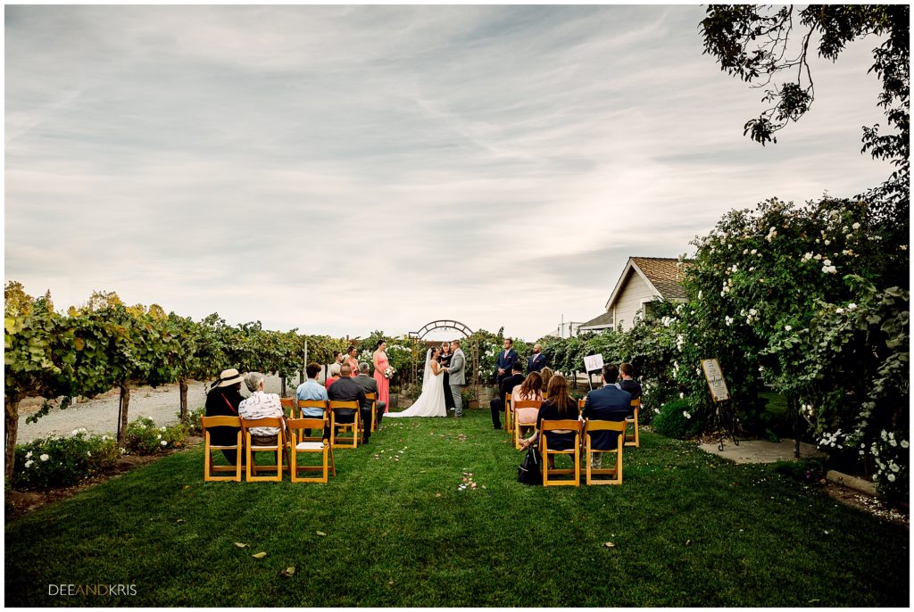Scribner Bend Vineyards