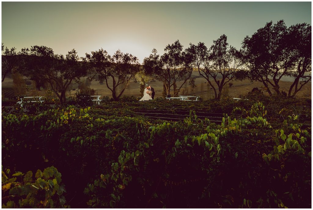 Viansa Winery
