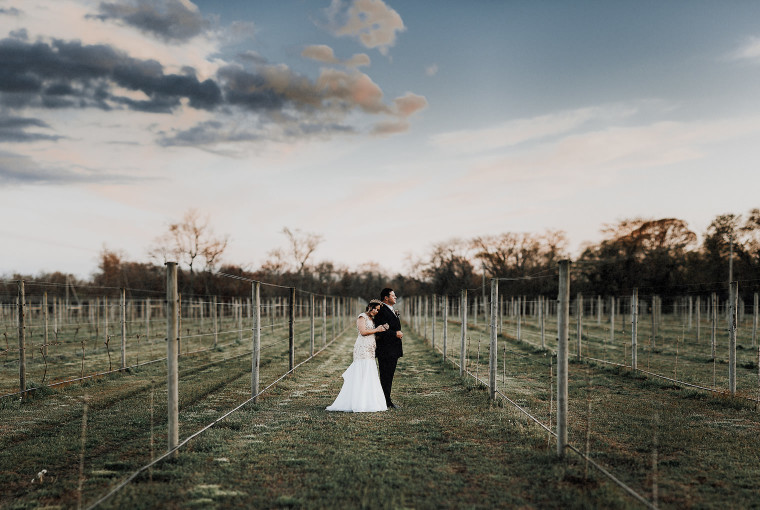 Willow Creek Winery and Farm