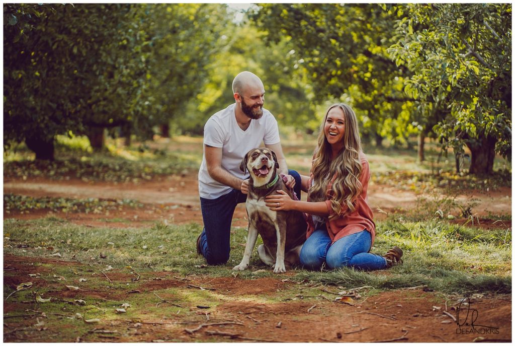 Apple Hill