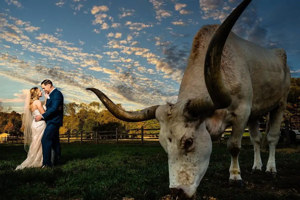 Ironstone Ranch at Stone Gables Estate