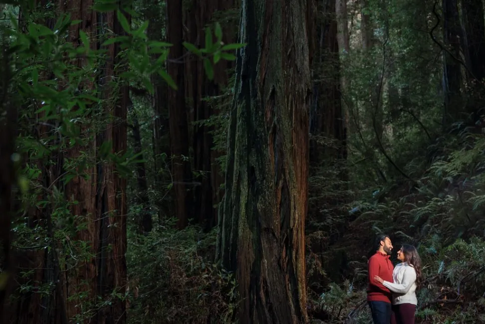 Muir Woods National Monument
