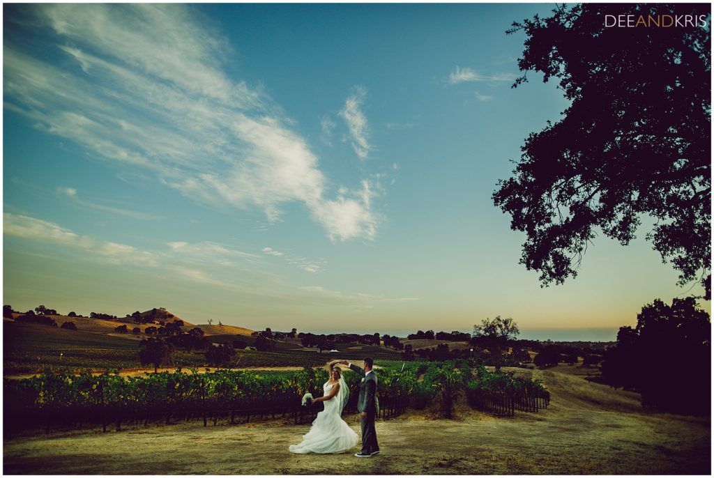 Rancho Victoria Vineyard