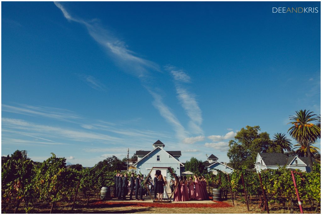 Vezér Family Vineyard