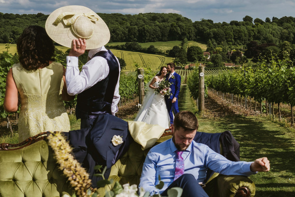 Hambledon Vineyard