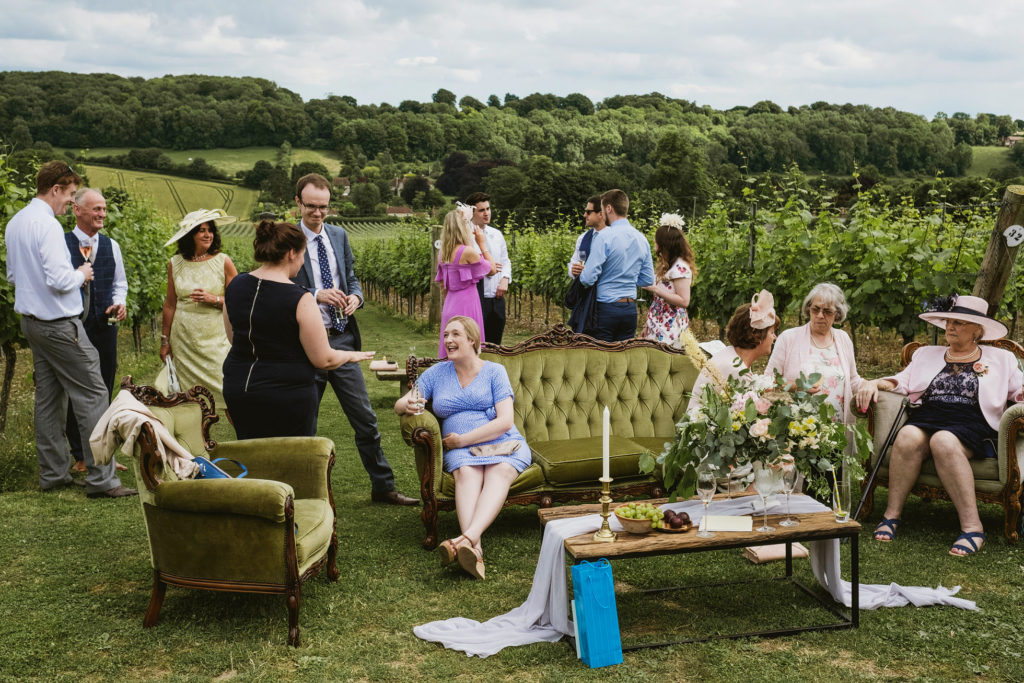 Hambledon Vineyard