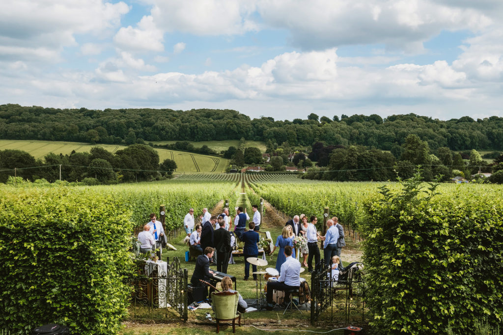 Hambledon Vineyard