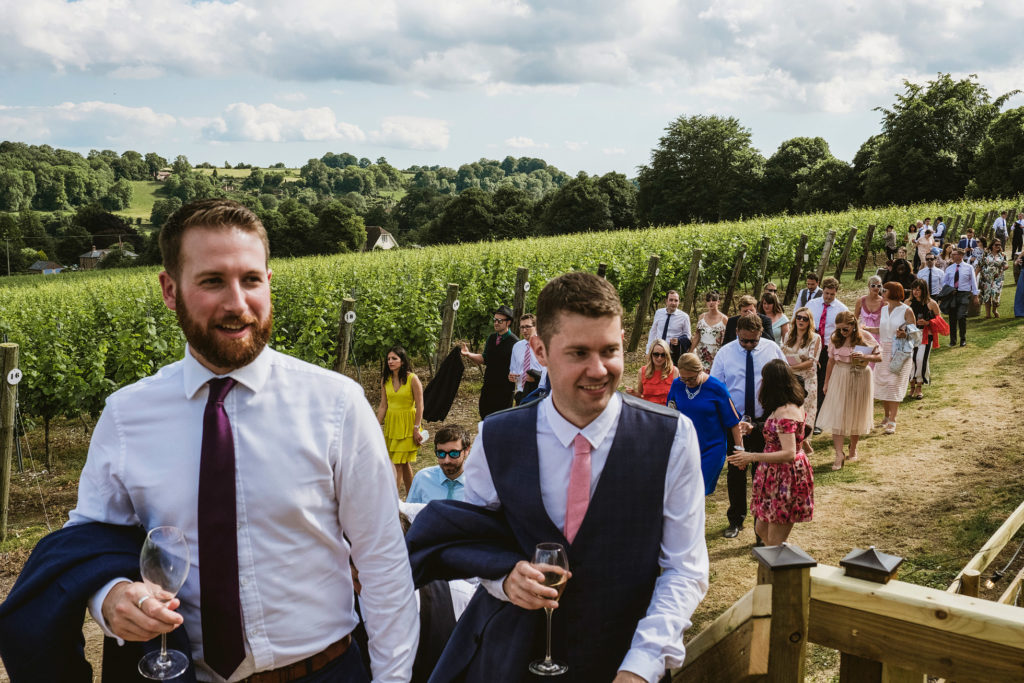 Hambledon Vineyard