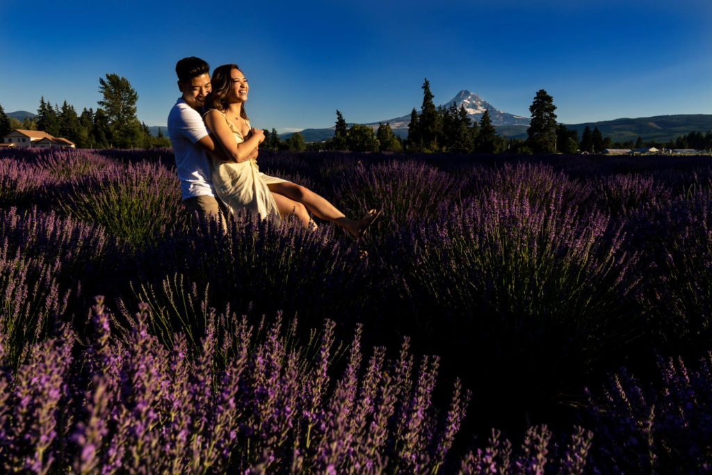 Lavender Valley