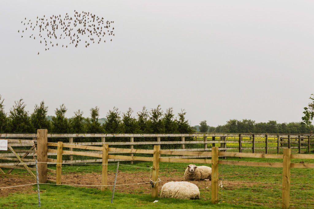 Skipbridge Country Weddings