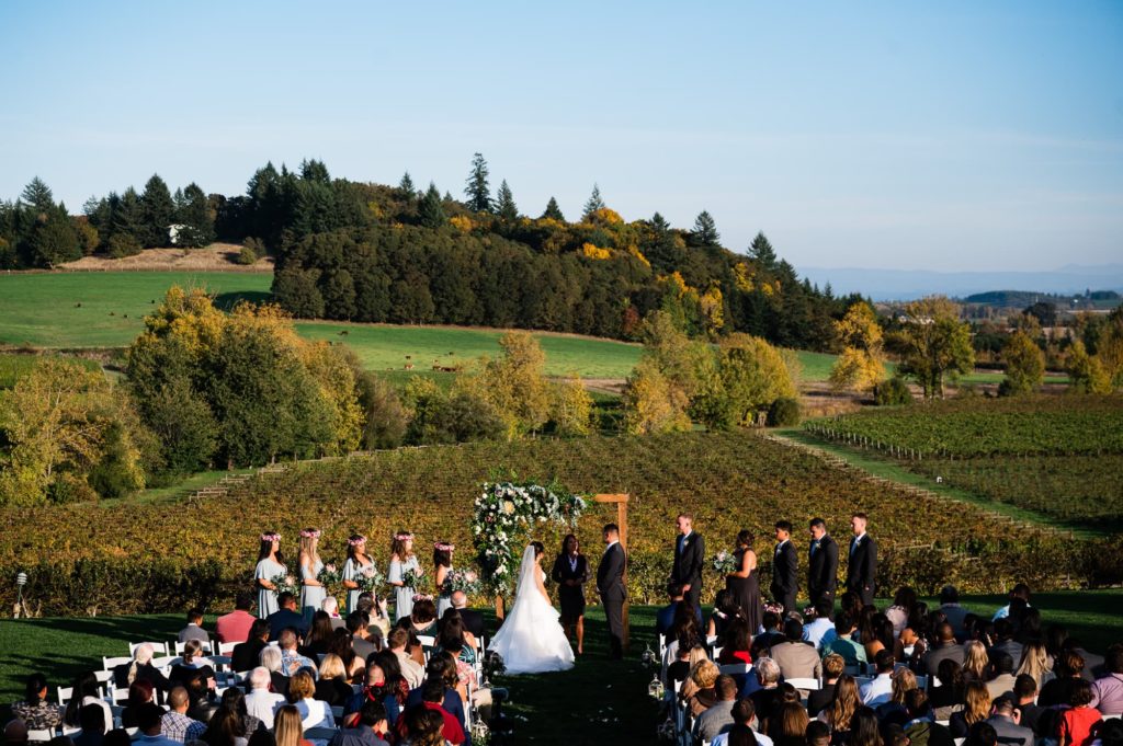 The Vineyards at Chappel Lodge