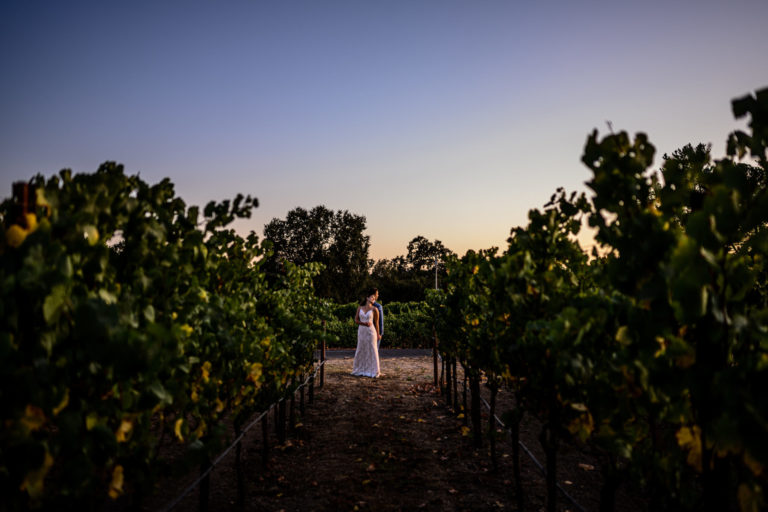 DeLoach Vineyards