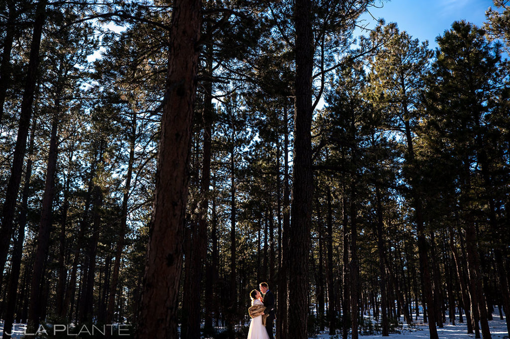 The Lodge at Cathedral Pines