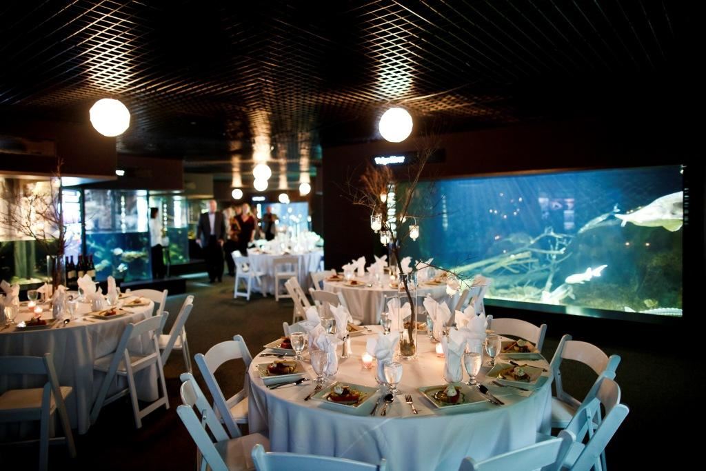 Tennessee Aquarium