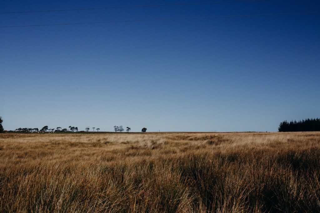 Harelaw Farm
