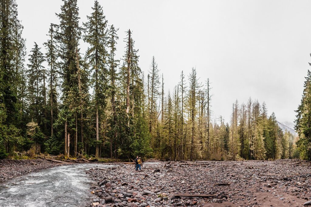 Mount Rainier National Park