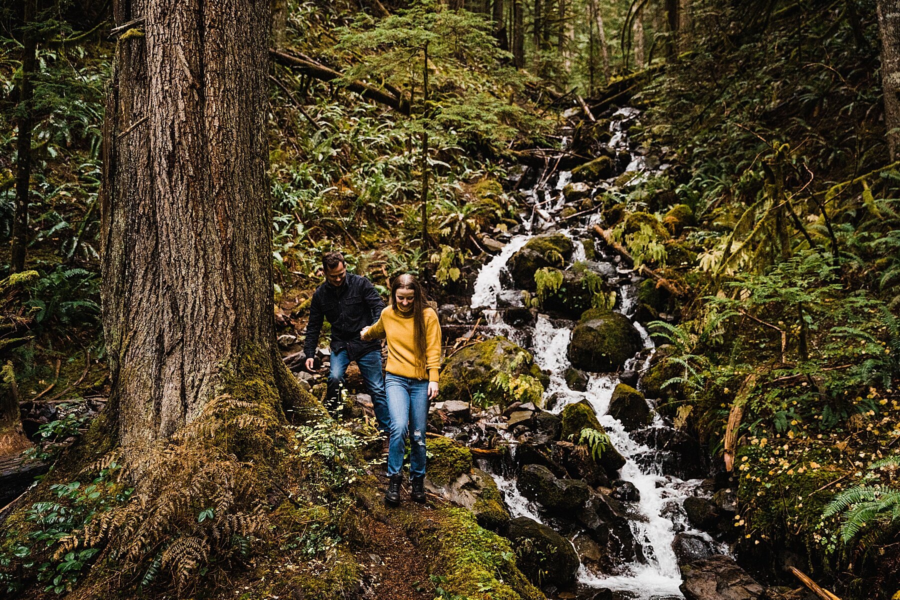 Mount Rainier National Park