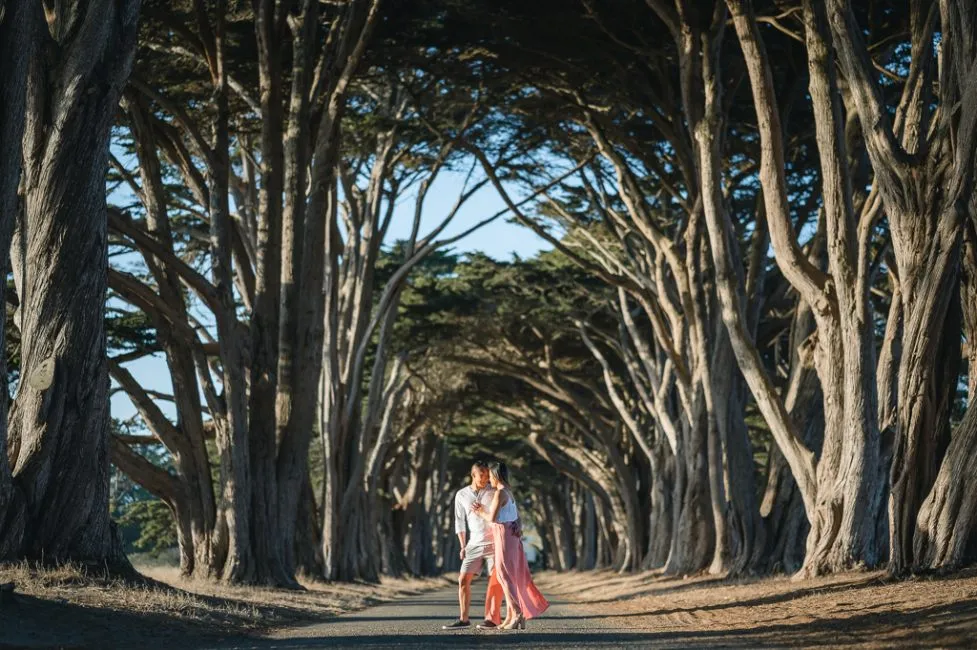 Point Reyes National Seashore