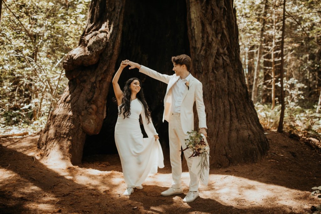 Redwood National Forest
