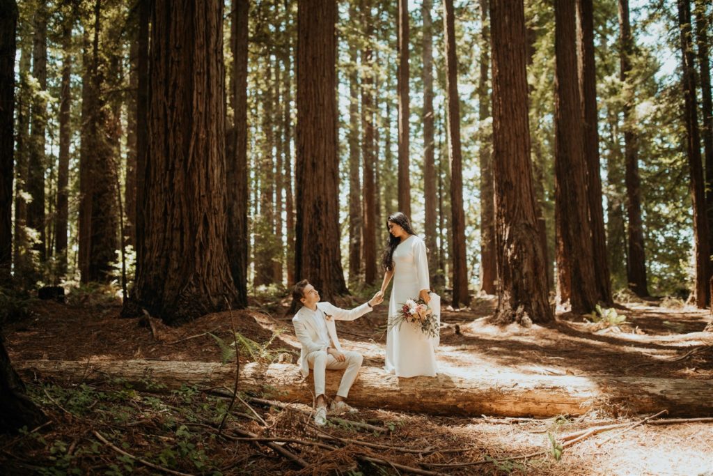 Redwood National Forest