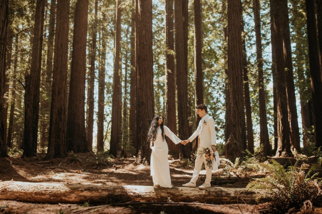 Redwood National Forest