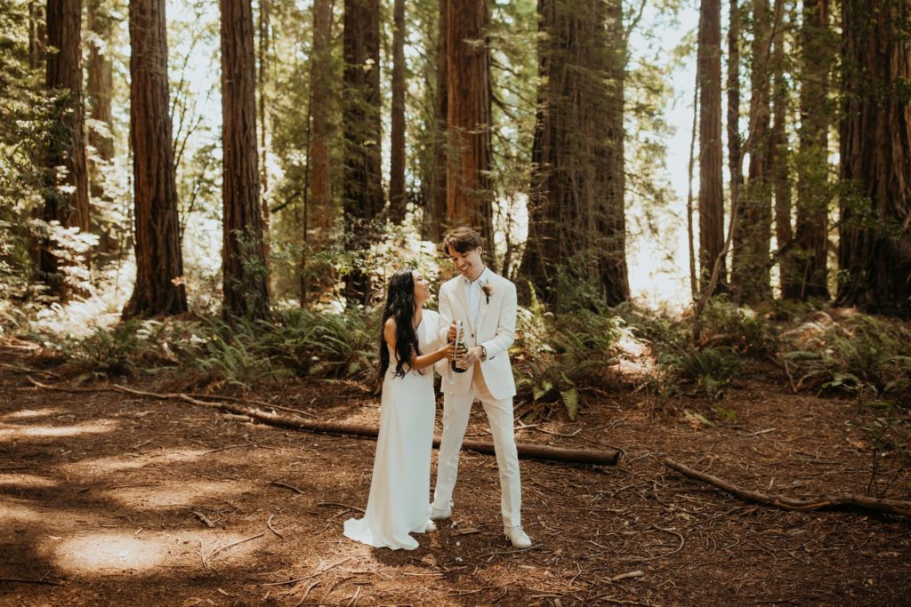 Redwood National Forest