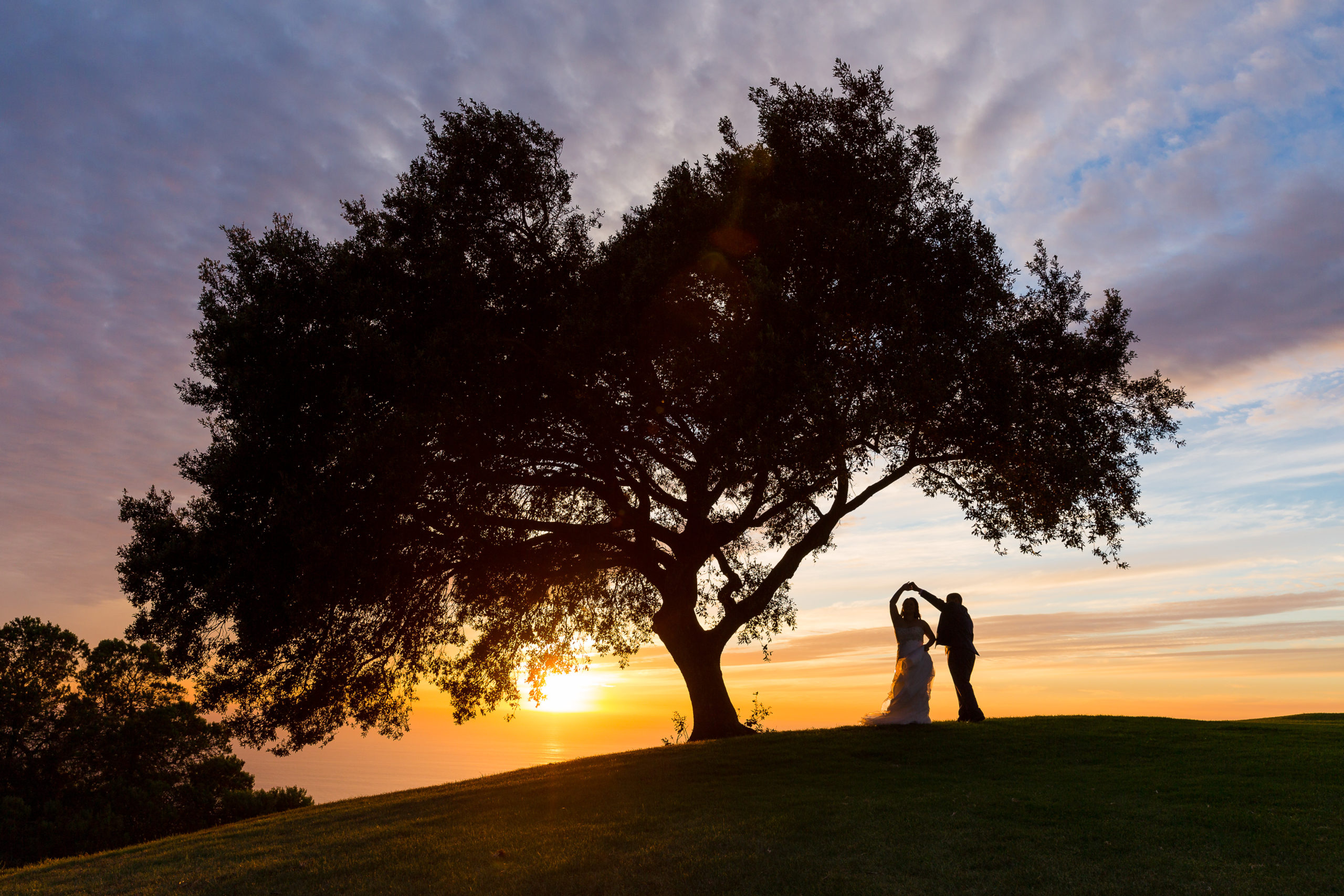 Stefani Ciotti Photography
