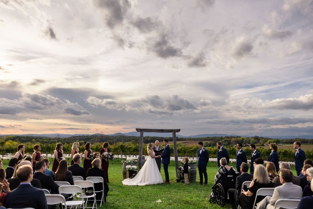 Barren Ridge Vineyard
