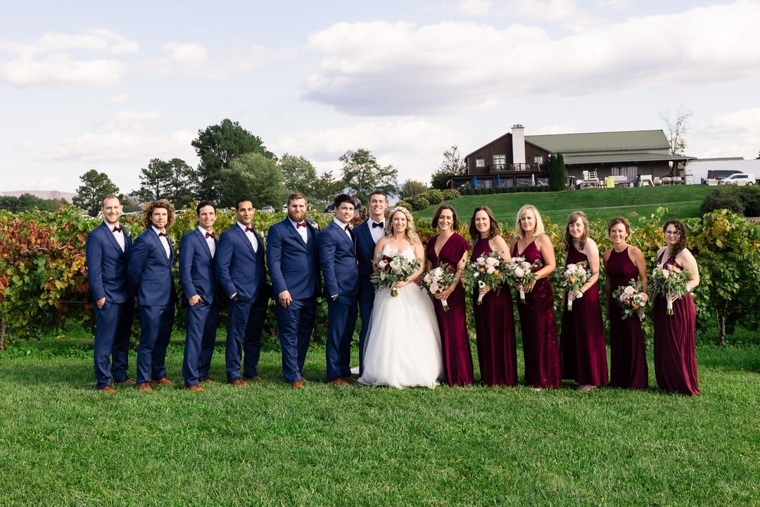 Barren Ridge Vineyard