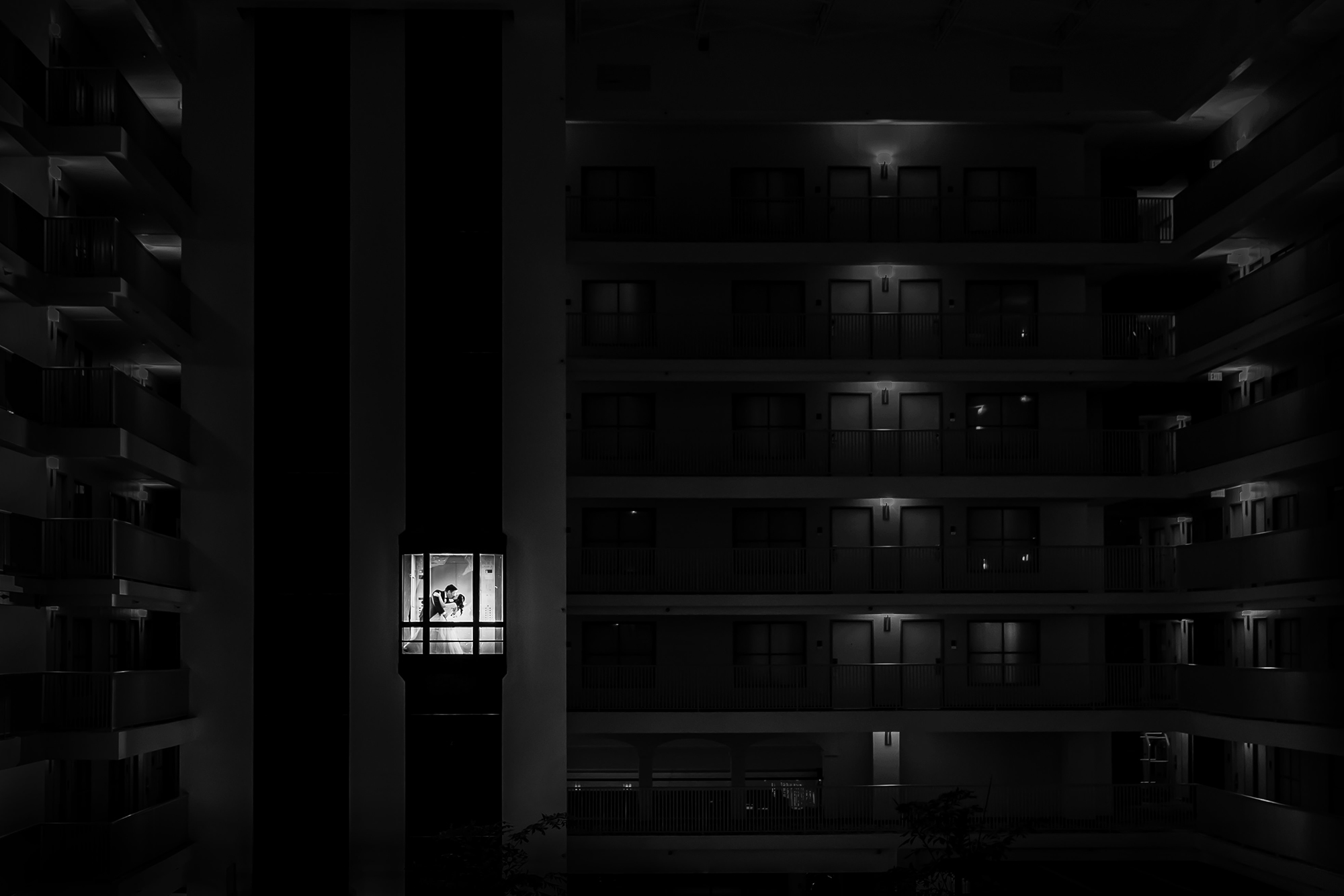 BYC Photography