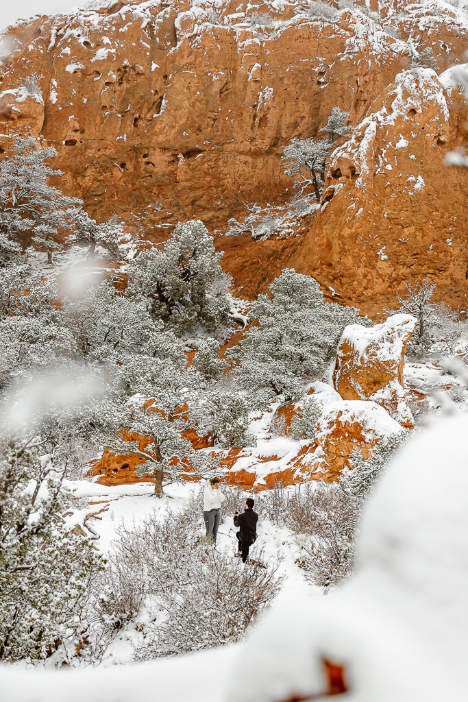 Garden of the Gods