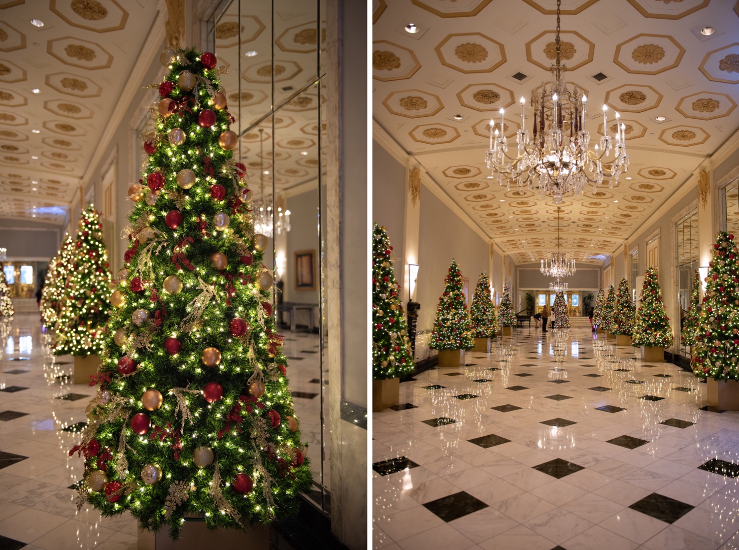 Mayflower Hotel