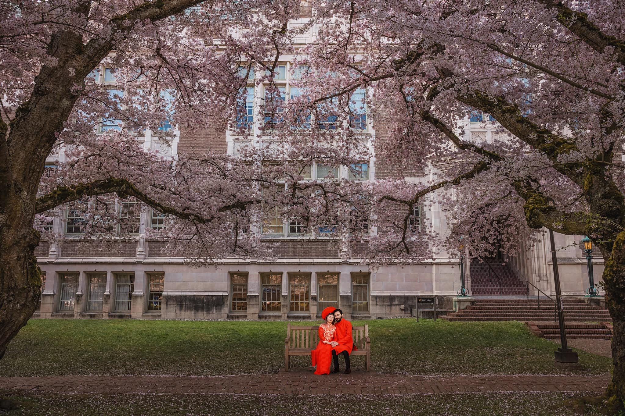 uw cherry blossom locle films