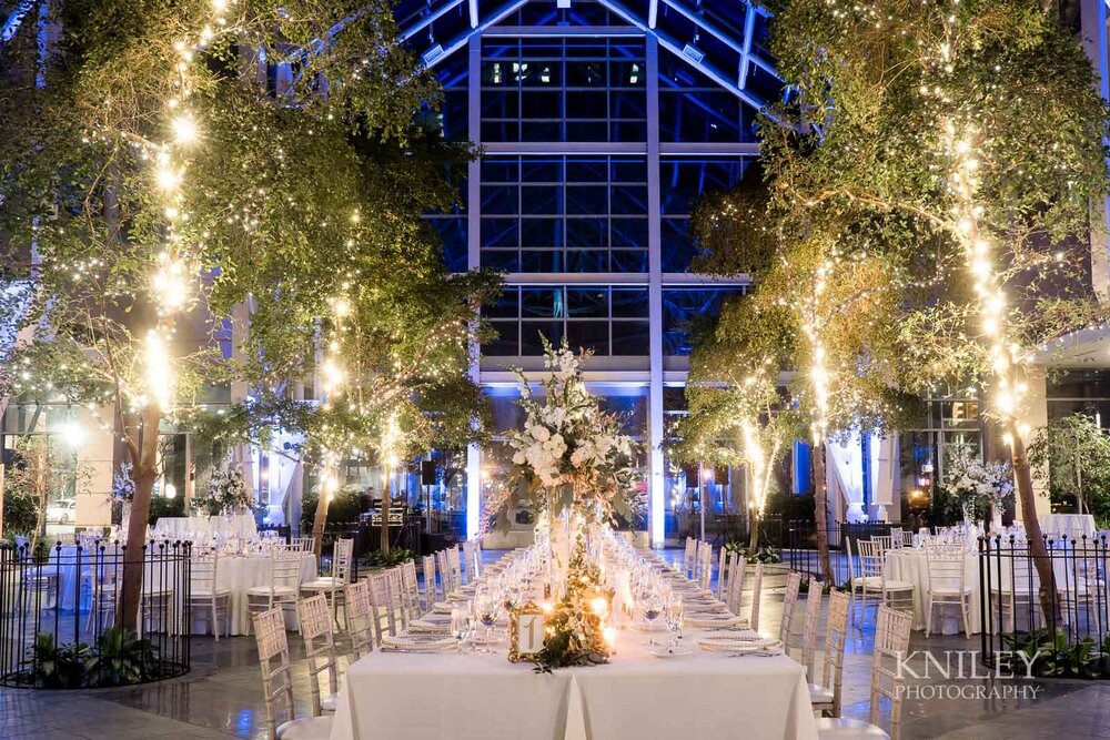 Wintergarden