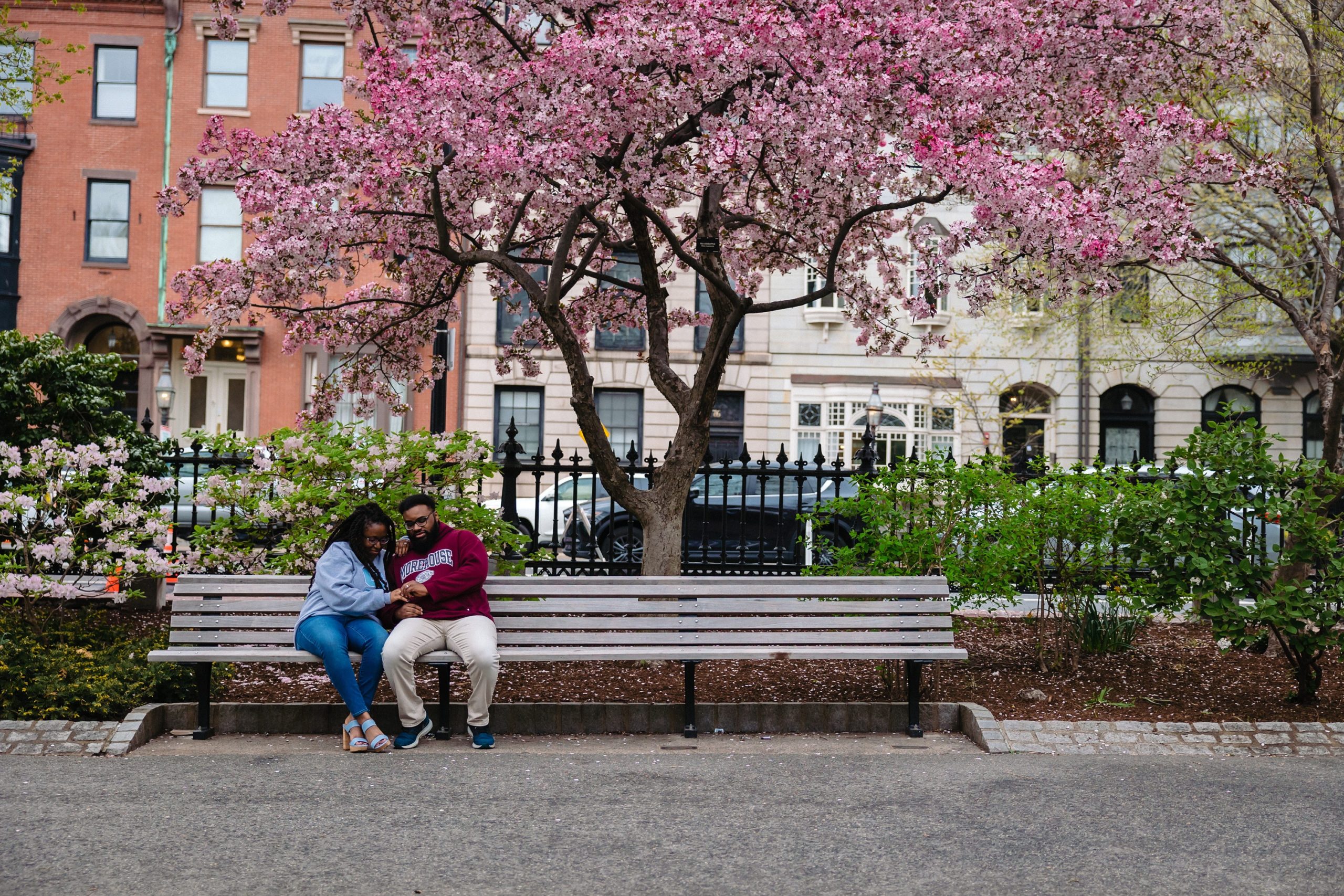 Boston Public Gardens