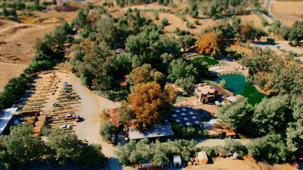 Lake Oak Meadows
