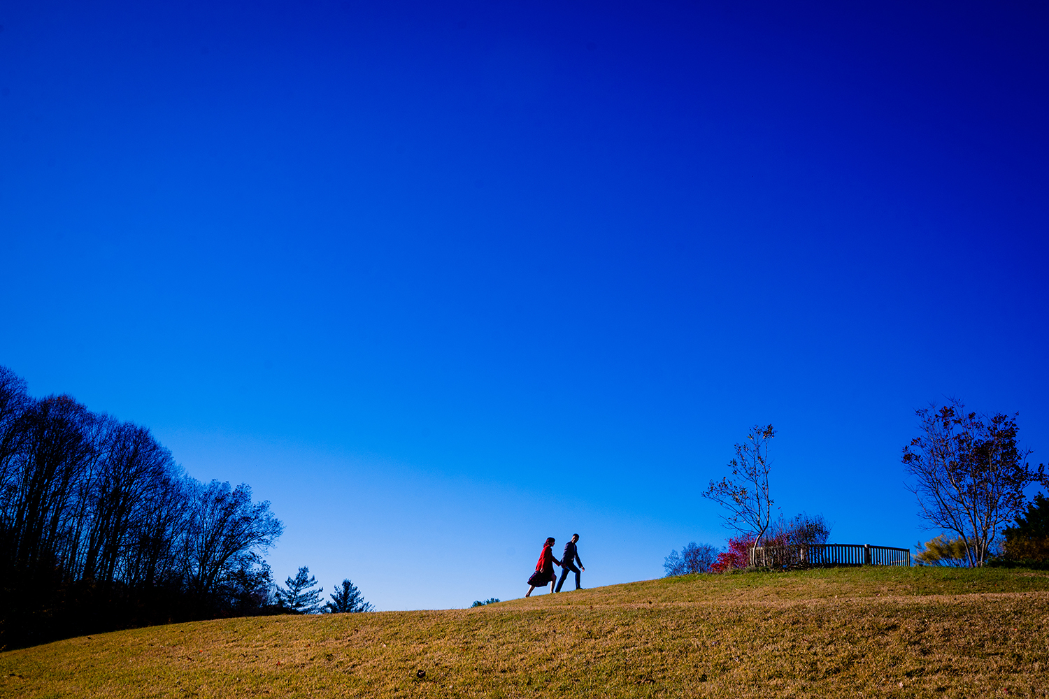 Meadowlark Botanical Gardens