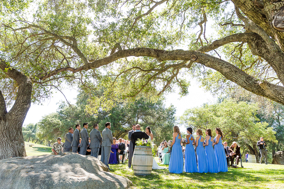 Milagro Farms Vineyard and Winery