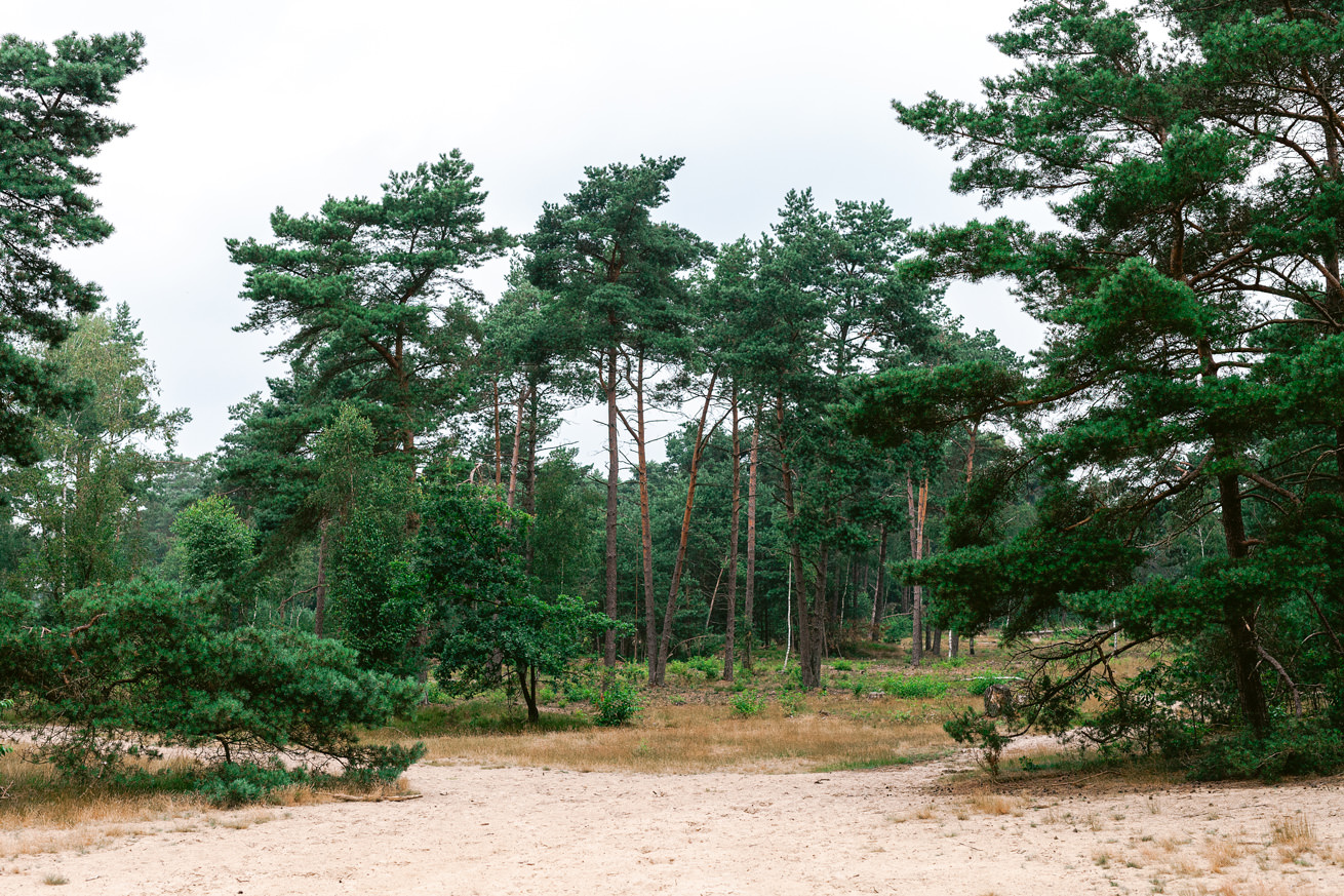 Soesterduinen
