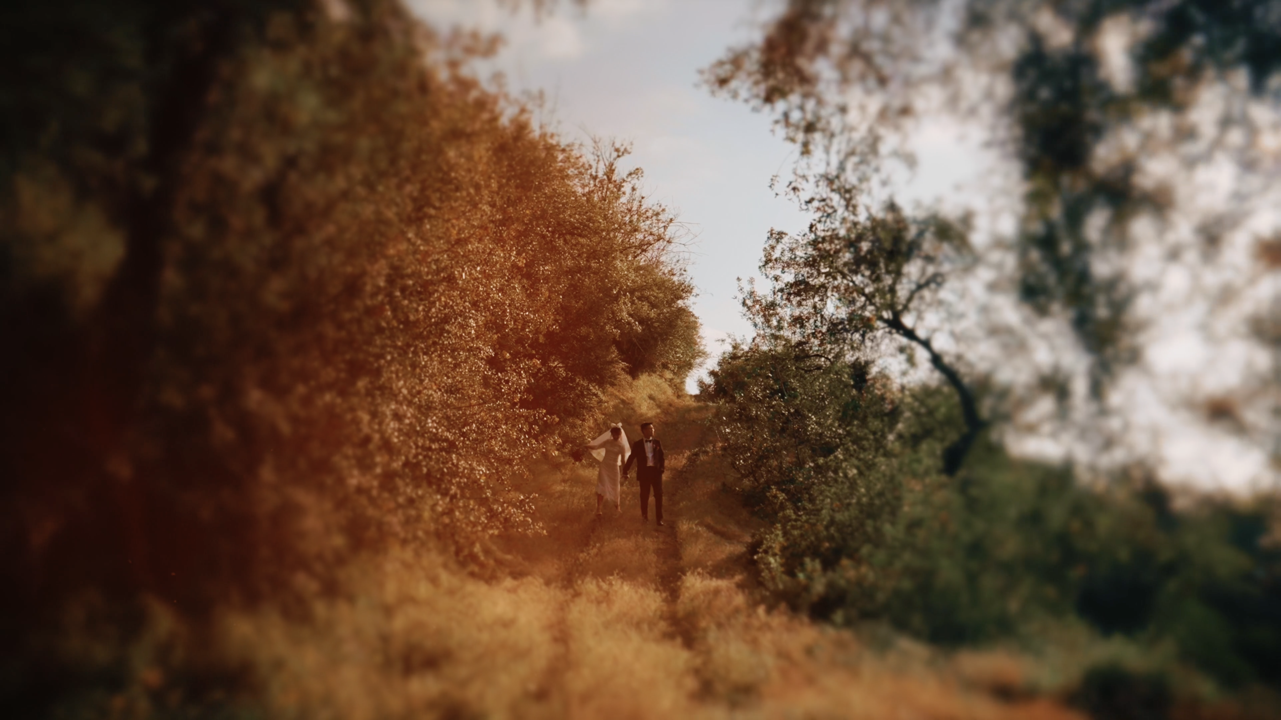 A Colored Mind Wedding Films
