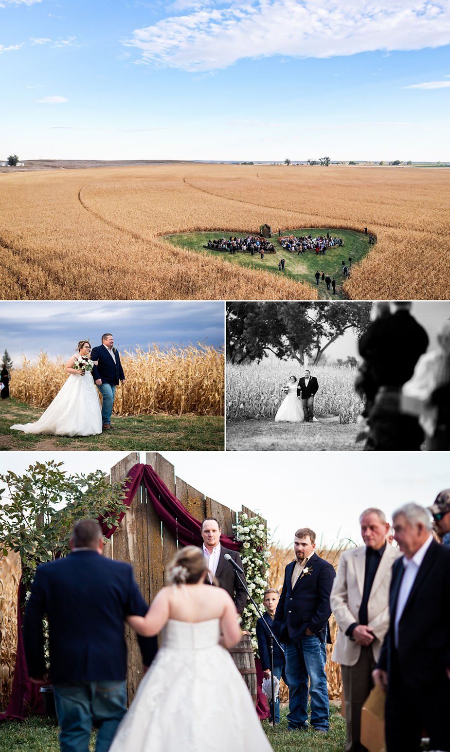 Chesnut Farms LLC