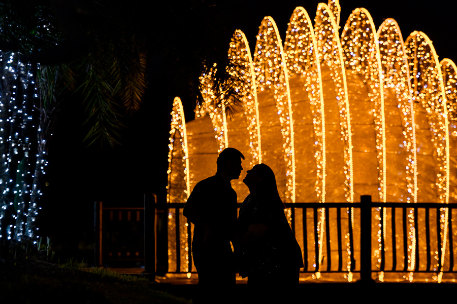 Lake Eola Park