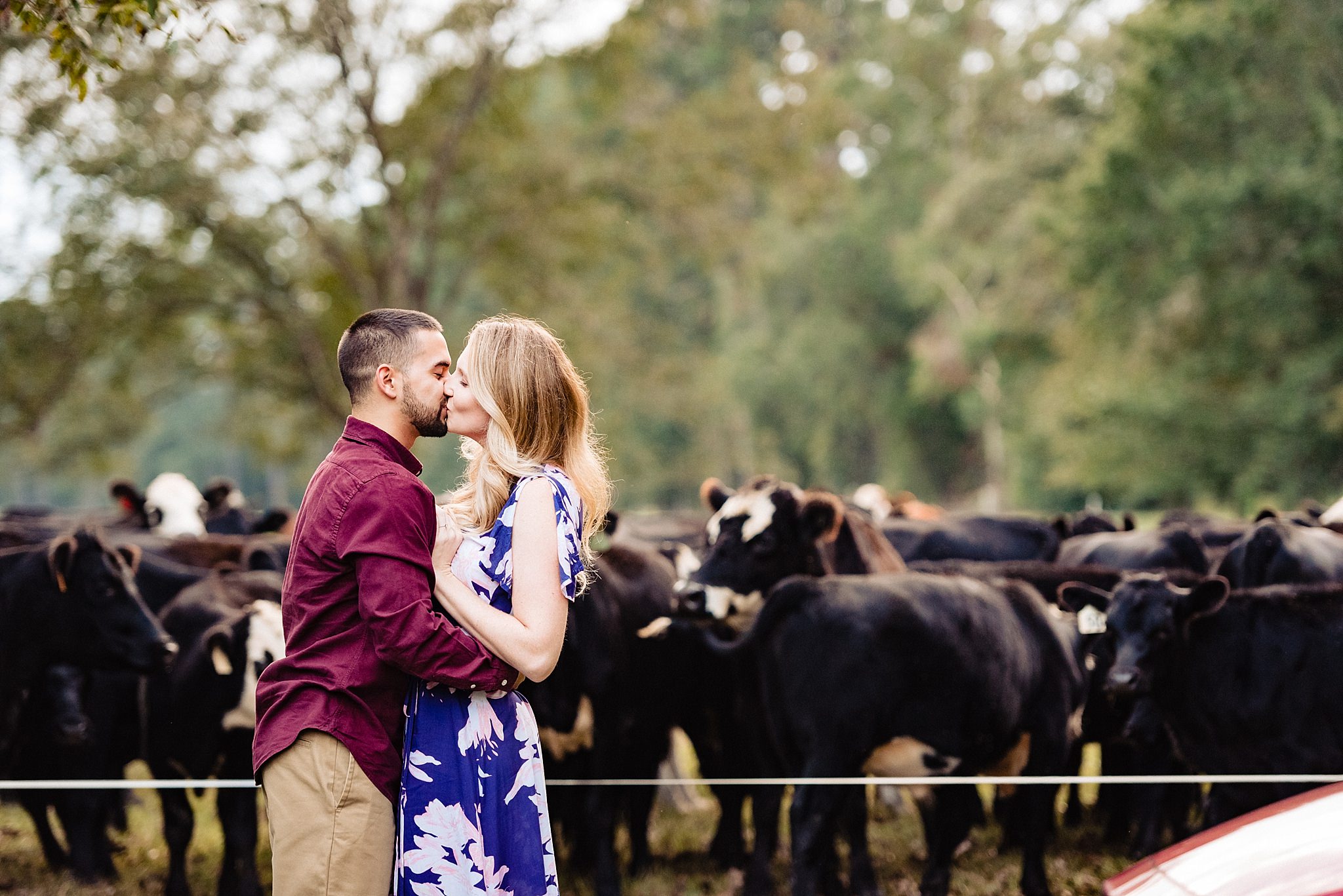 The Grove at McCormick Farms